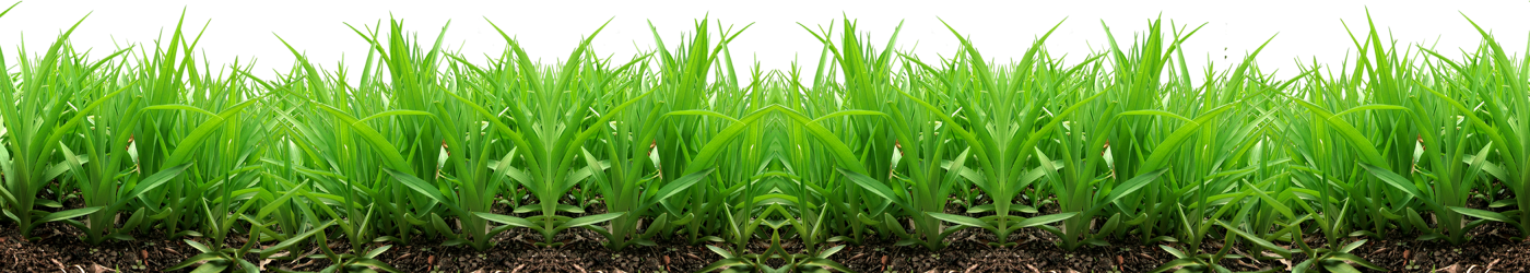Somagri
